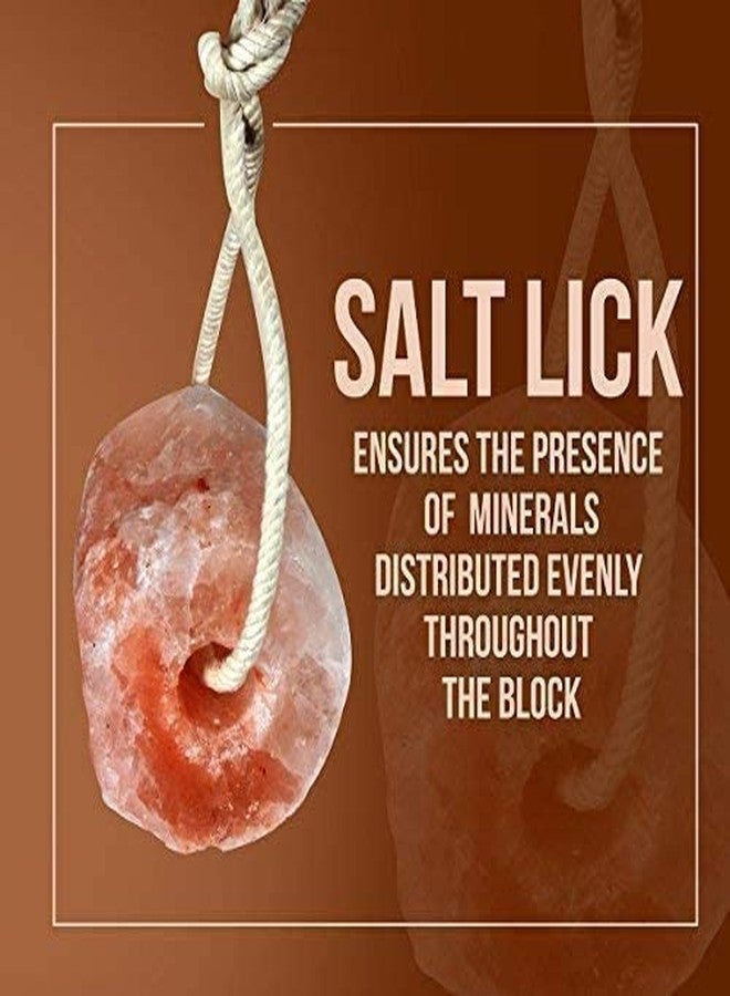 Malowal® Himalayan Rock Salt Animal Licks 2 kg - Image 5